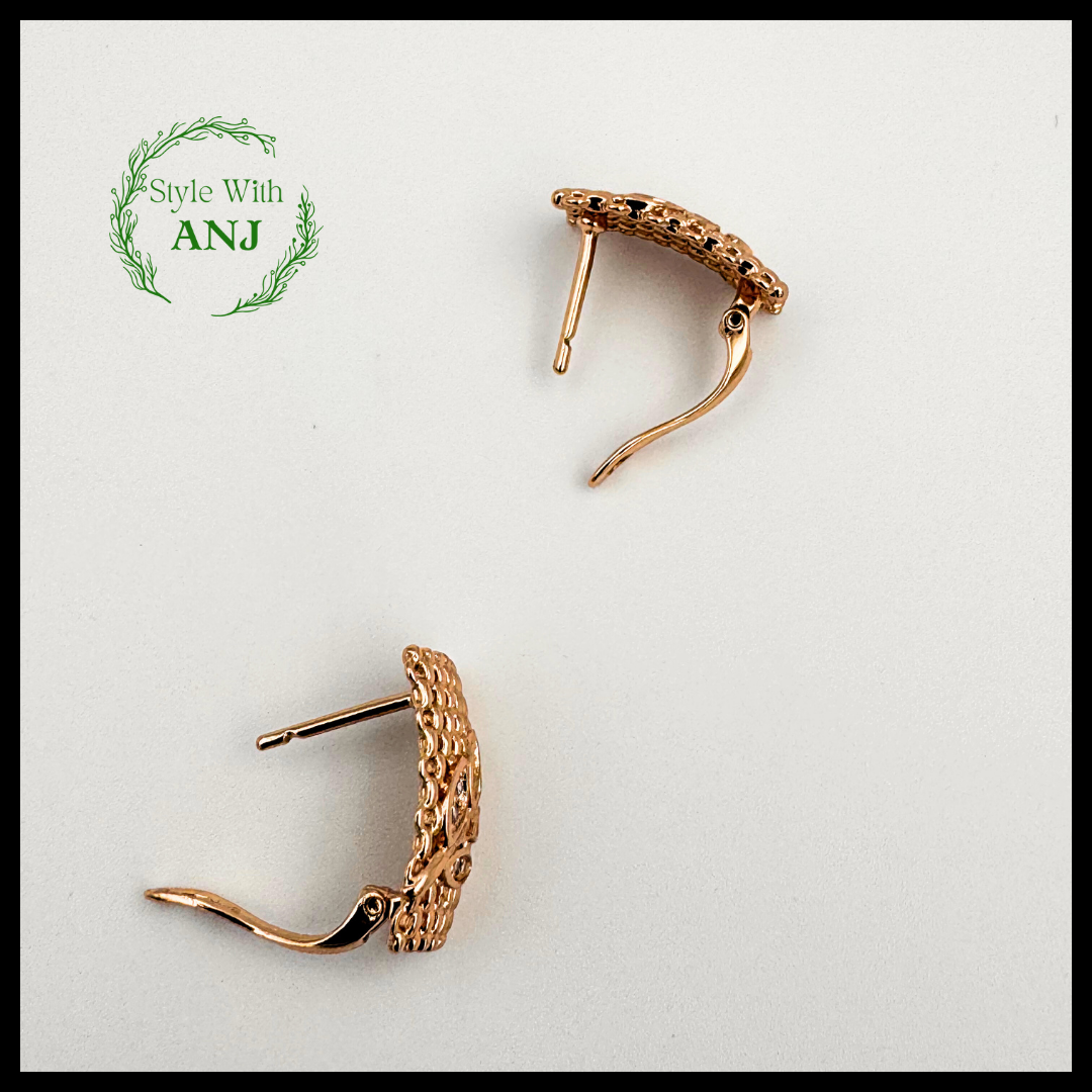 Attractive framed leaf style design latched back earring for women and girls