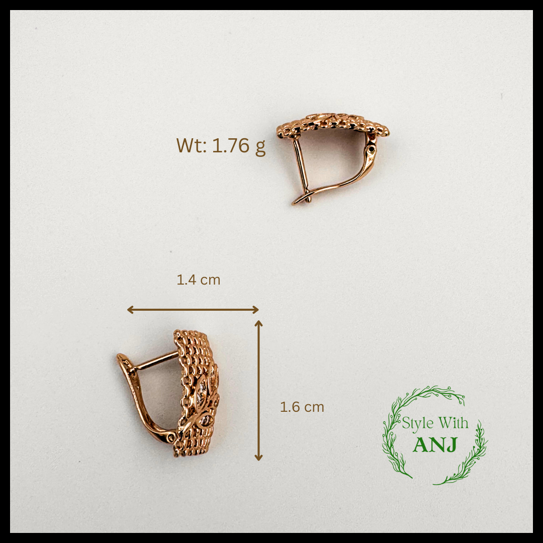 Attractive framed leaf style design latched back earring for women and girls